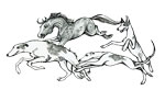 Hound Hollow Farm
